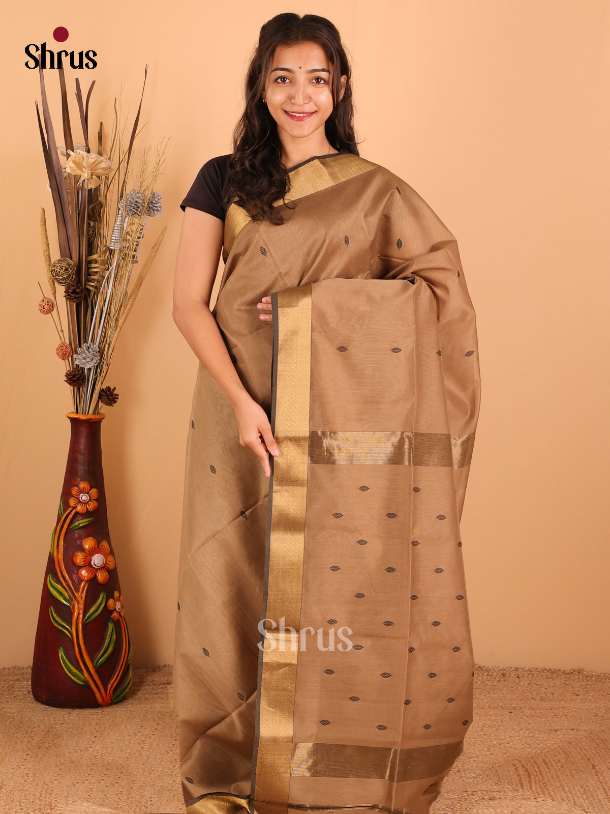 Light Brown - Maheswari silk cotton Saree - DCS27162 - Shop on Shrus.com