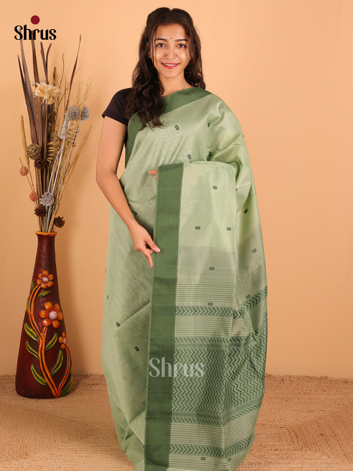 PastelGreen & Dark Green - Maheswari silk cotton Saree - DCS27221 - Shop on Shrus.com