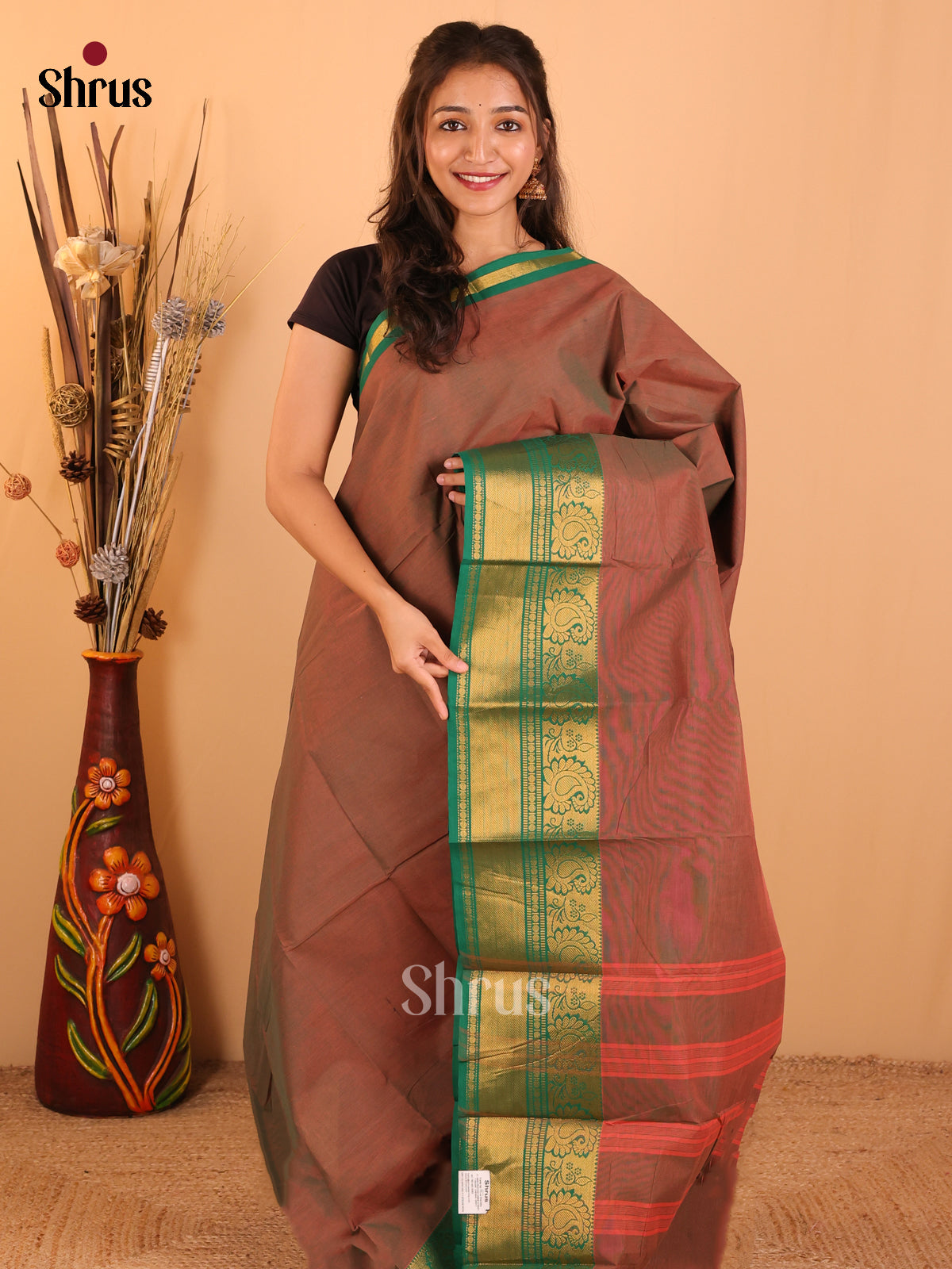 Dual tone Browm with Green-Chettinad saree -DDS02056 - Shop on Shrus.com
