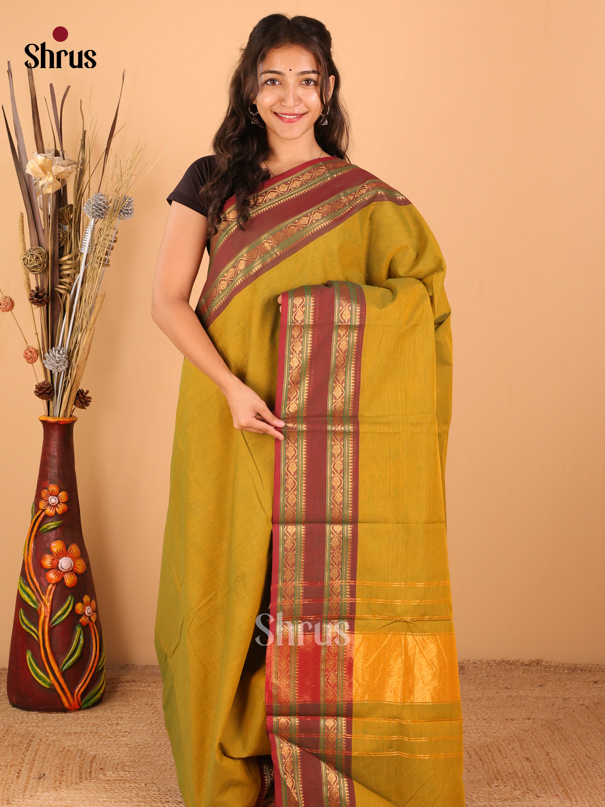 Mehandhi green with Brown - Chettinad saree -DDS02089 - Shop on Shrus.com