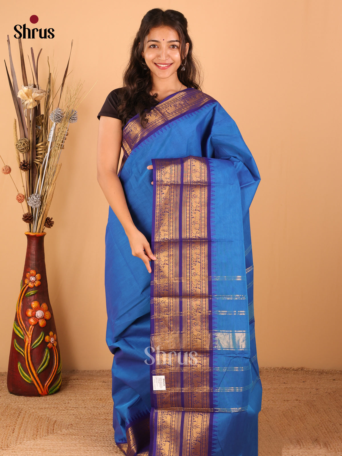 Rama Blue with Royal Blue - Chettinad saree -DDS02134 - Shop on Shrus.com