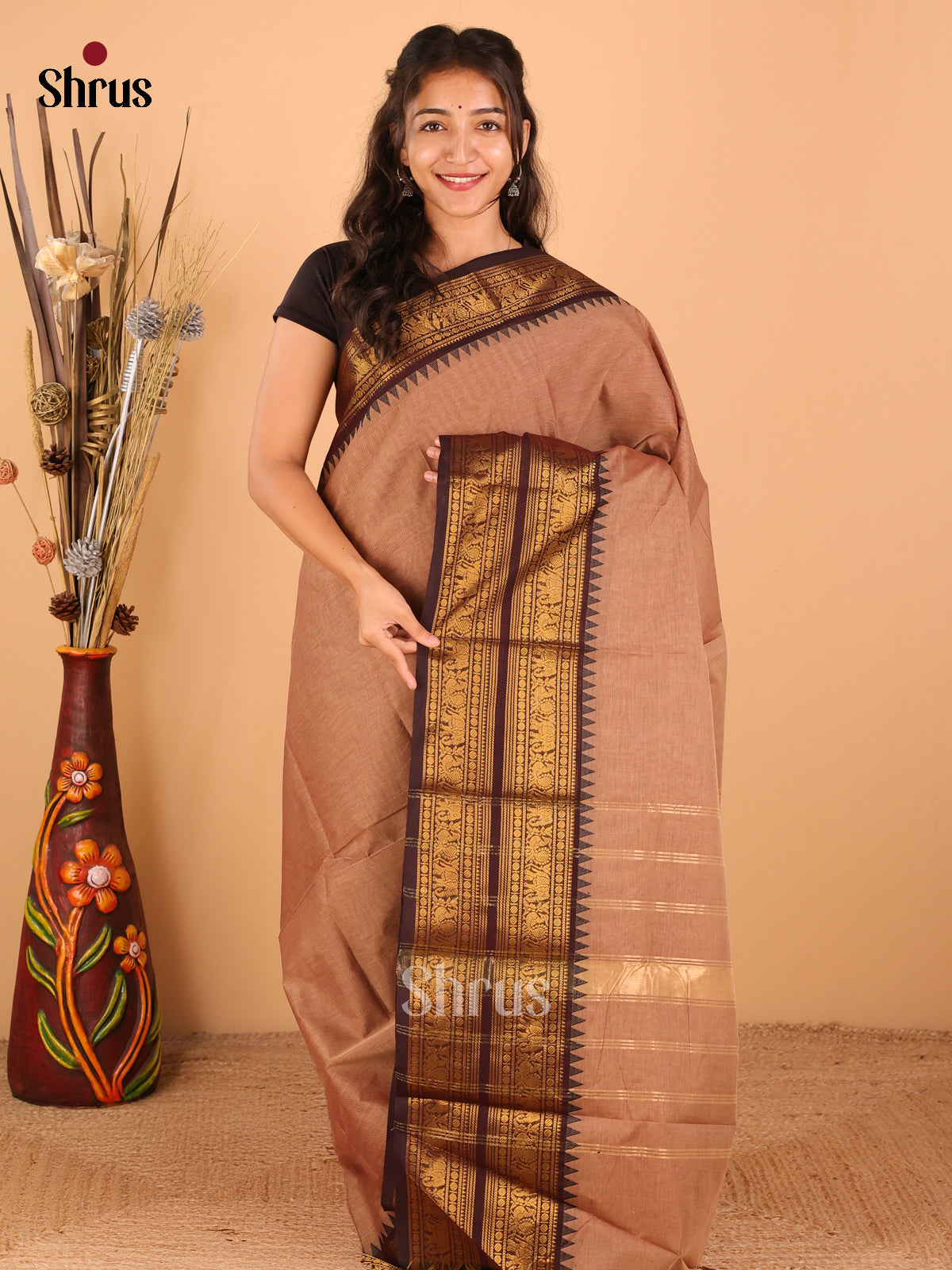 Light Brown with bROWN - Chettinad saree -DDS02135 - Shop on Shrus.com