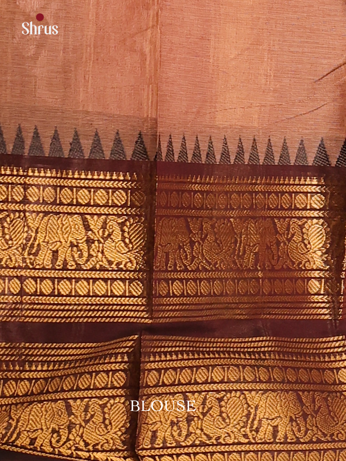 Light Brown with bROWN - Chettinad saree -DDS02135 - Shop on Shrus.com