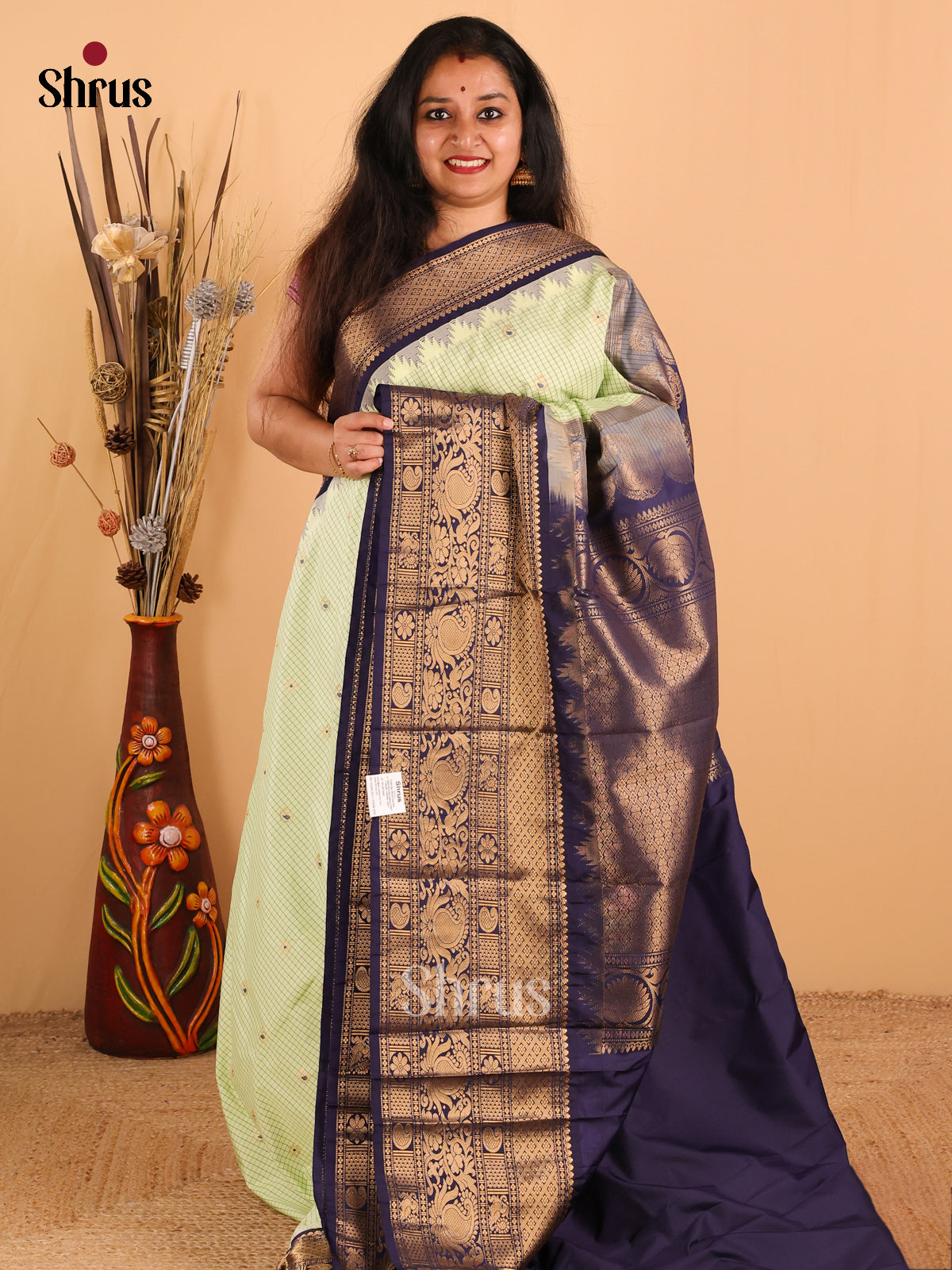 Pista Green with Navy Blue-Gadwal Half pure Saree  - DDS04063 - Shop on Shrus.com
