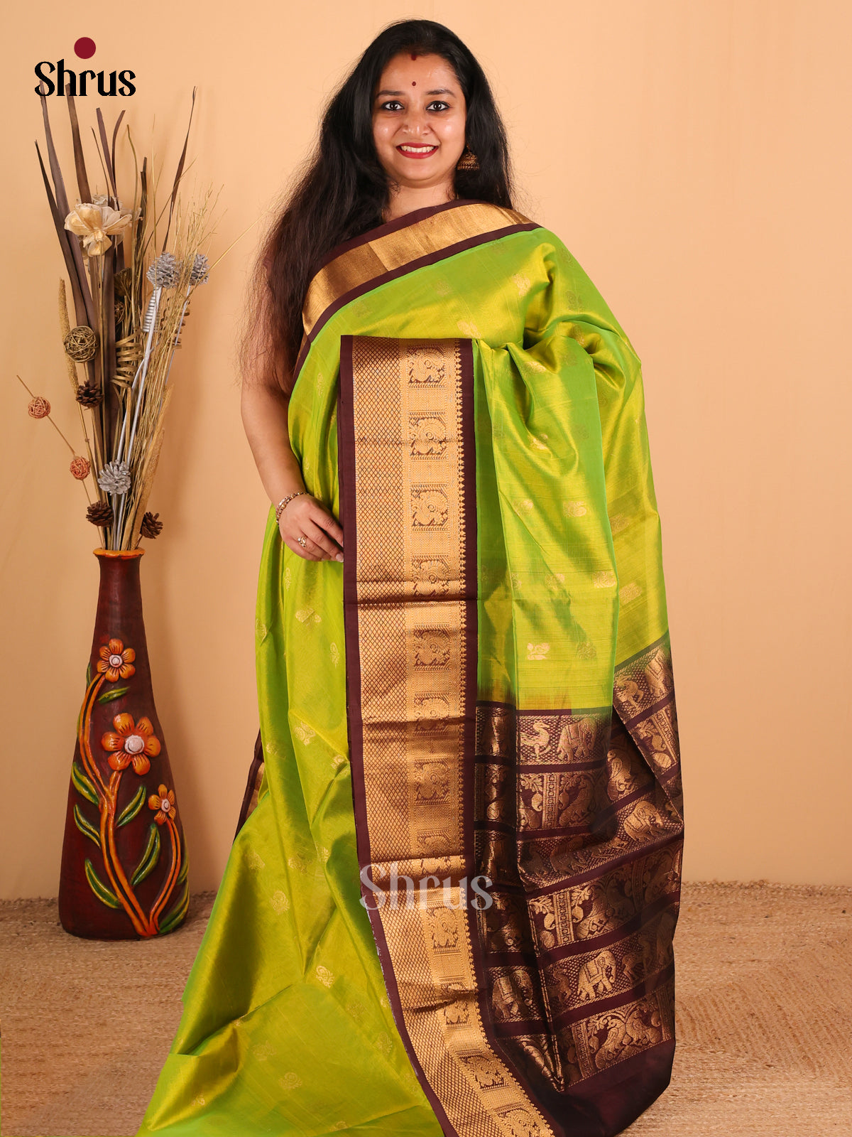 Parrot Green with Brown-Silk Cotton Saree -DDS05044 - Shop on Shrus.com