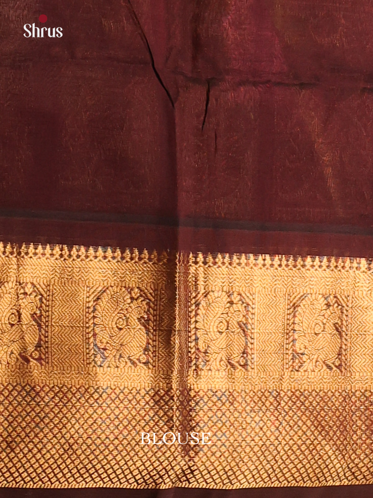 Parrot Green with Brown-Silk Cotton Saree -DDS05044 - Shop on Shrus.com