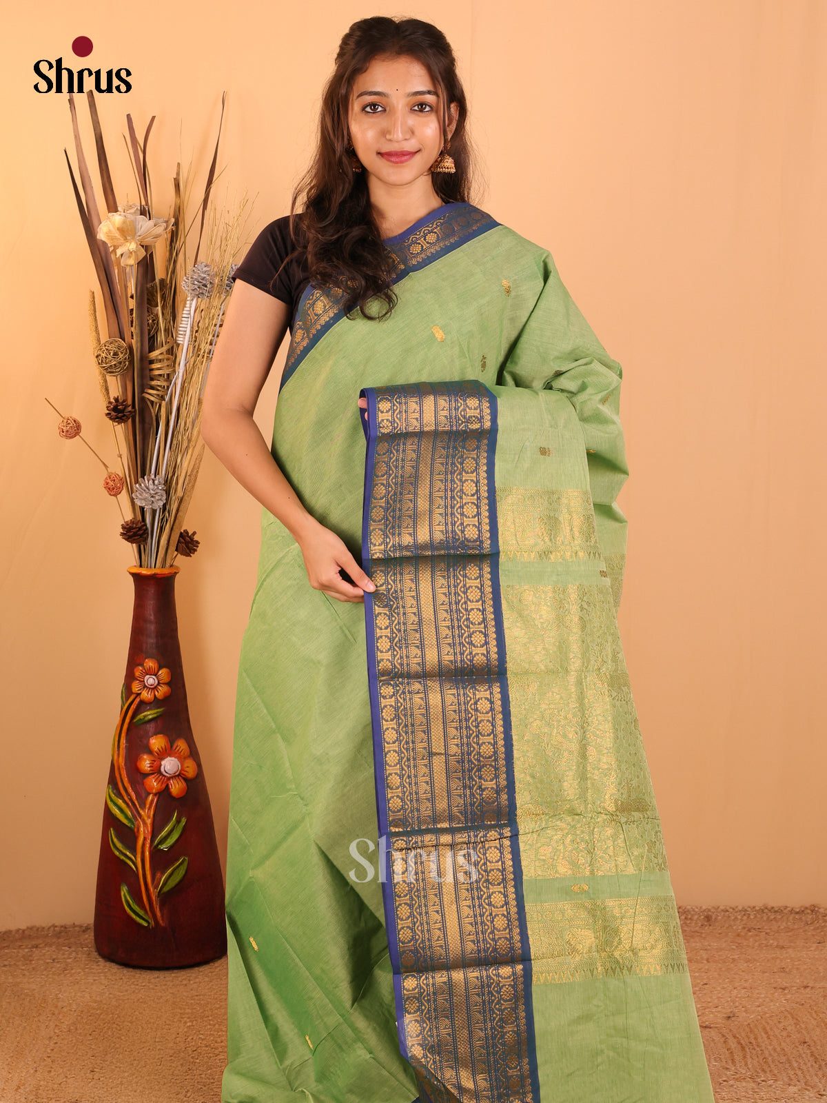 Pastel green with peacock blue - Chettinad saree-DDS05057 - Shop on Shrus.com