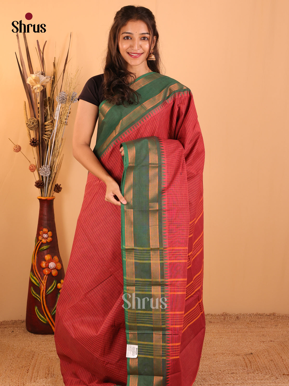 Brown with Green-Chettinad saree -DDS05110 - Shop on Shrus.com