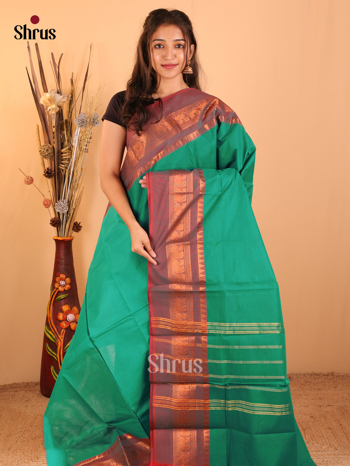 Teal green with Brown-Chettinad saree -DDS05143 - Shop on Shrus.com
