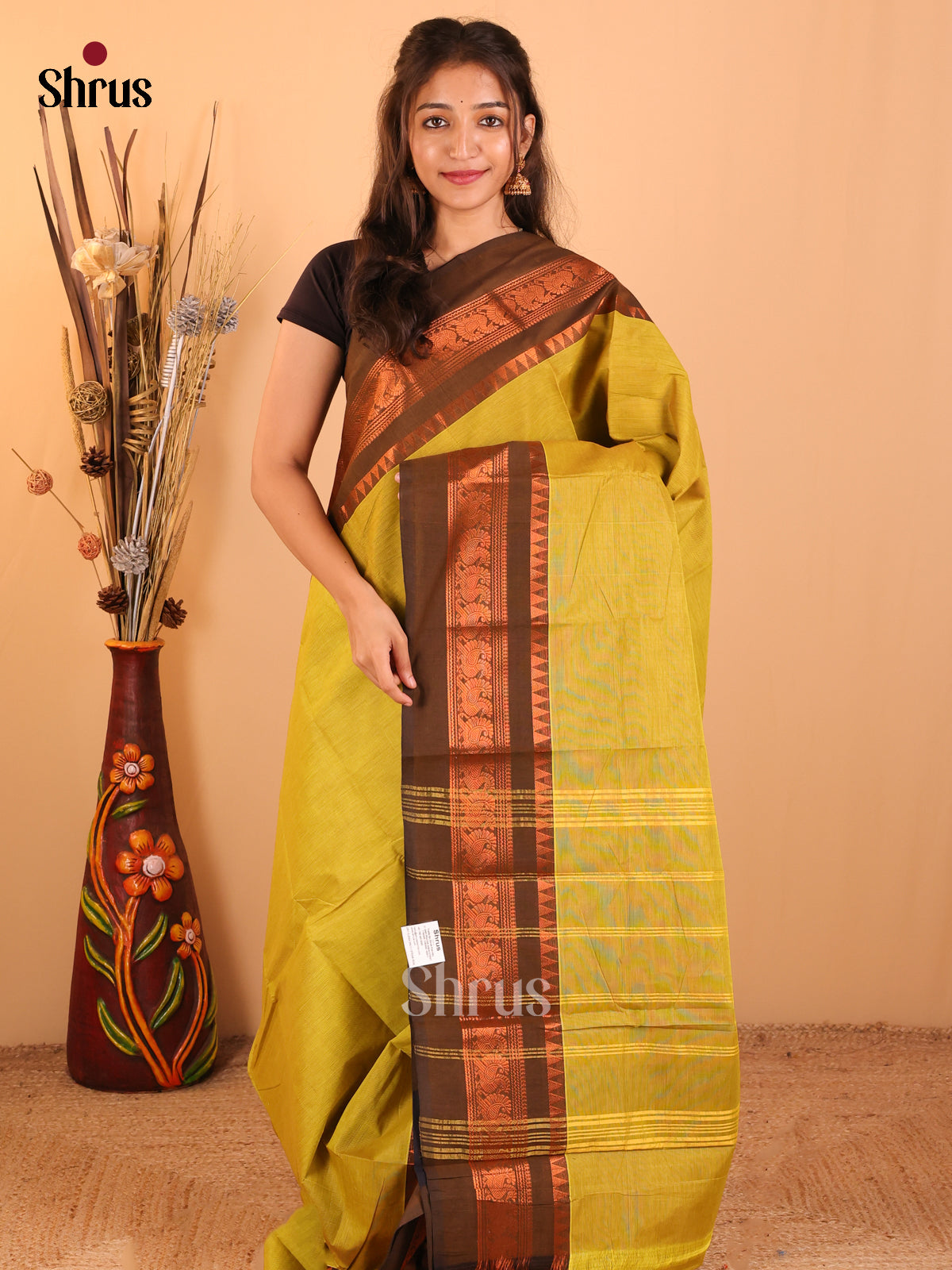 Mehandhi Green with Brown-Chettinad saree -DDS05149 - Shop on Shrus.com