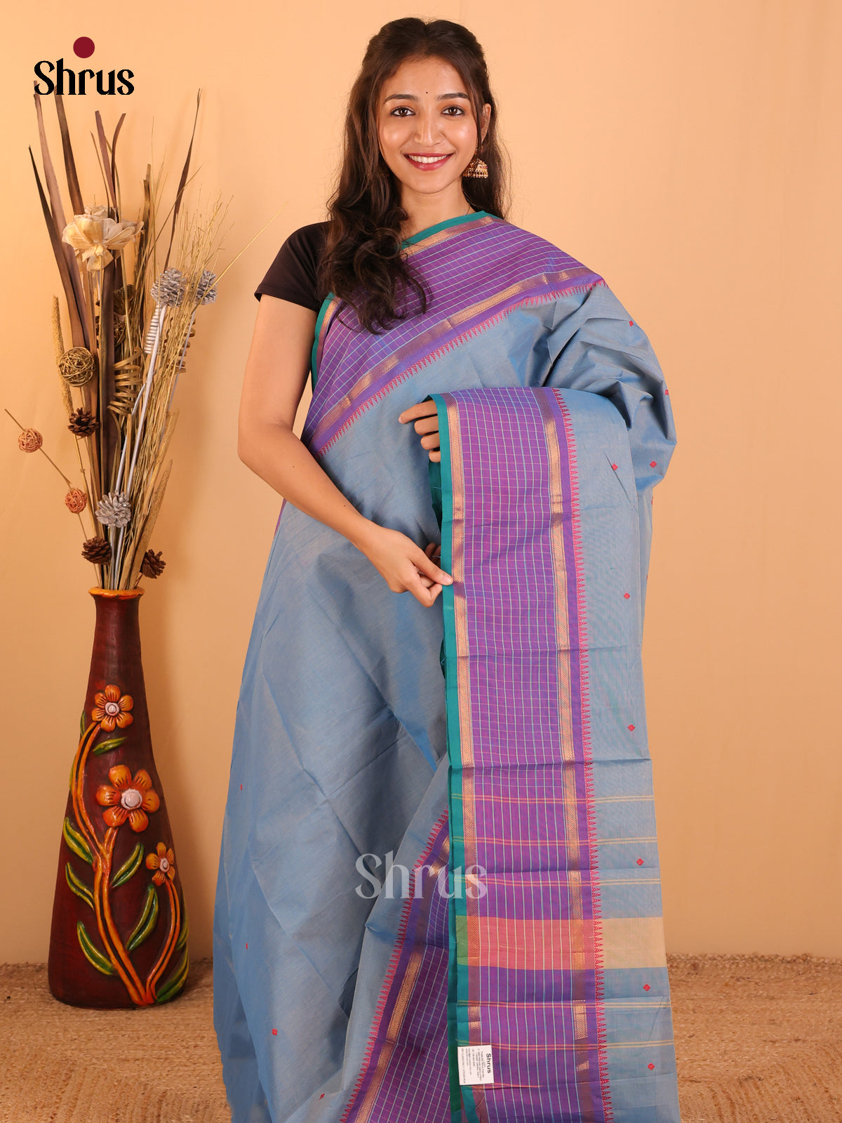 Sky Blue with Purple - Chettinad saree-DDS05190 - Shop on Shrus.com