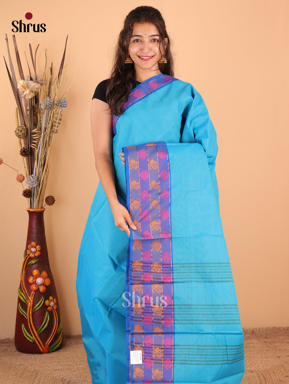 Sky Blue with Royal Blue - Chettinad Cotton Saree - DDS09199 - Shop on Shrus.com