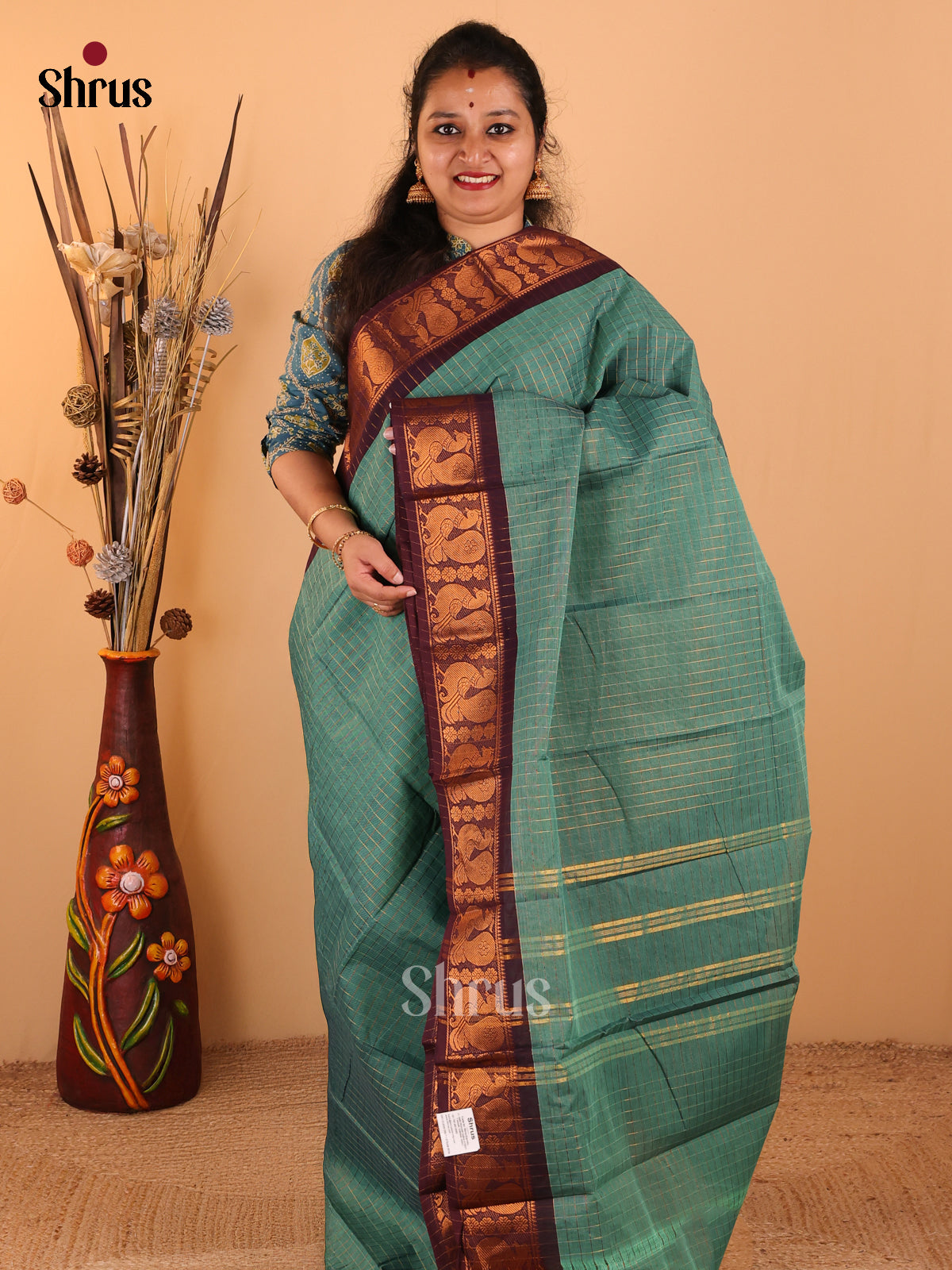 Light pastel green with Brown - Chettinad Cotton saree - DDS09271 - Shop on Shrus.com
