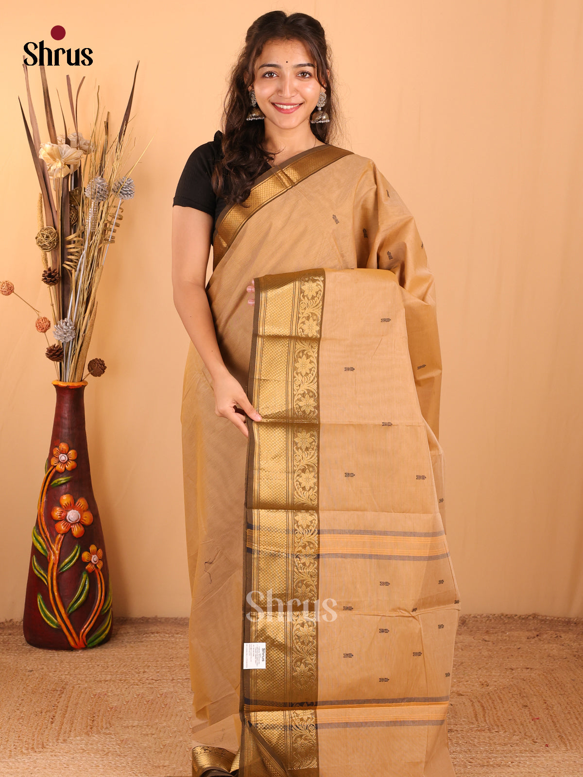 Light Brown with Coffee Brown - Chettinad Cotton Saree - DDS10035 - Shop on Shrus.com