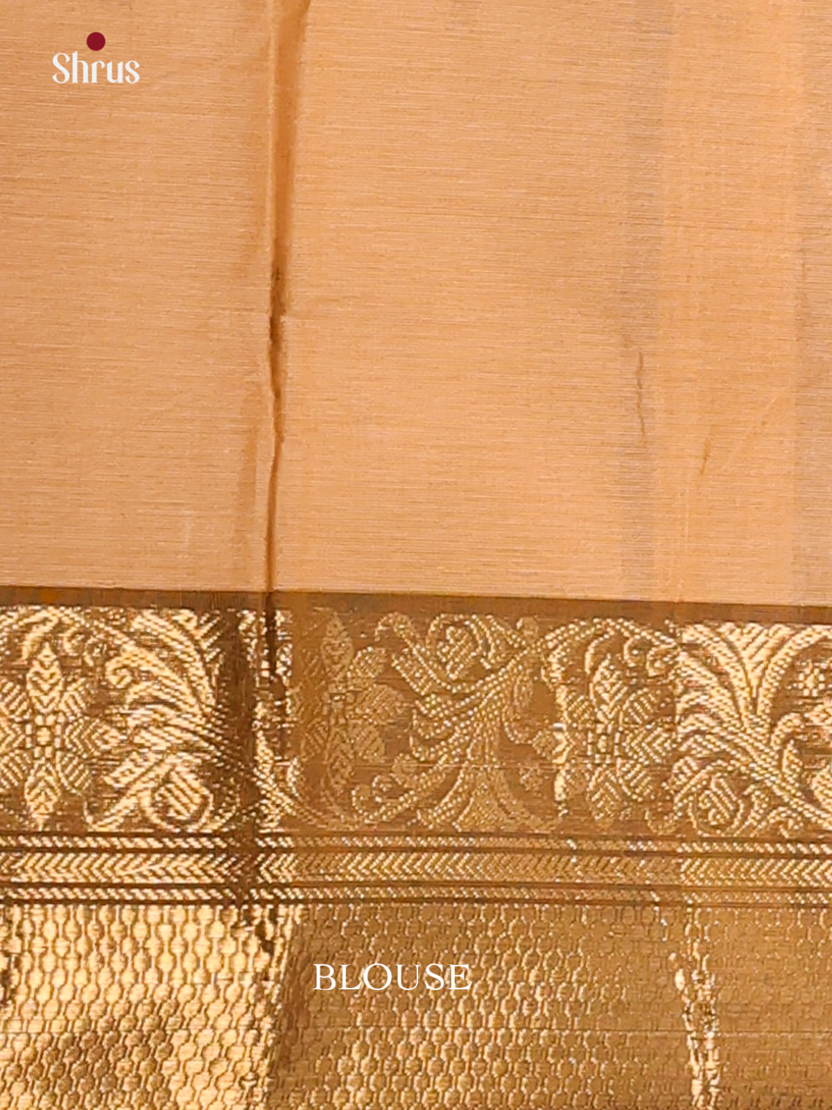 Light Brown with Coffee Brown - Chettinad Cotton Saree - DDS10035 - Shop on Shrus.com