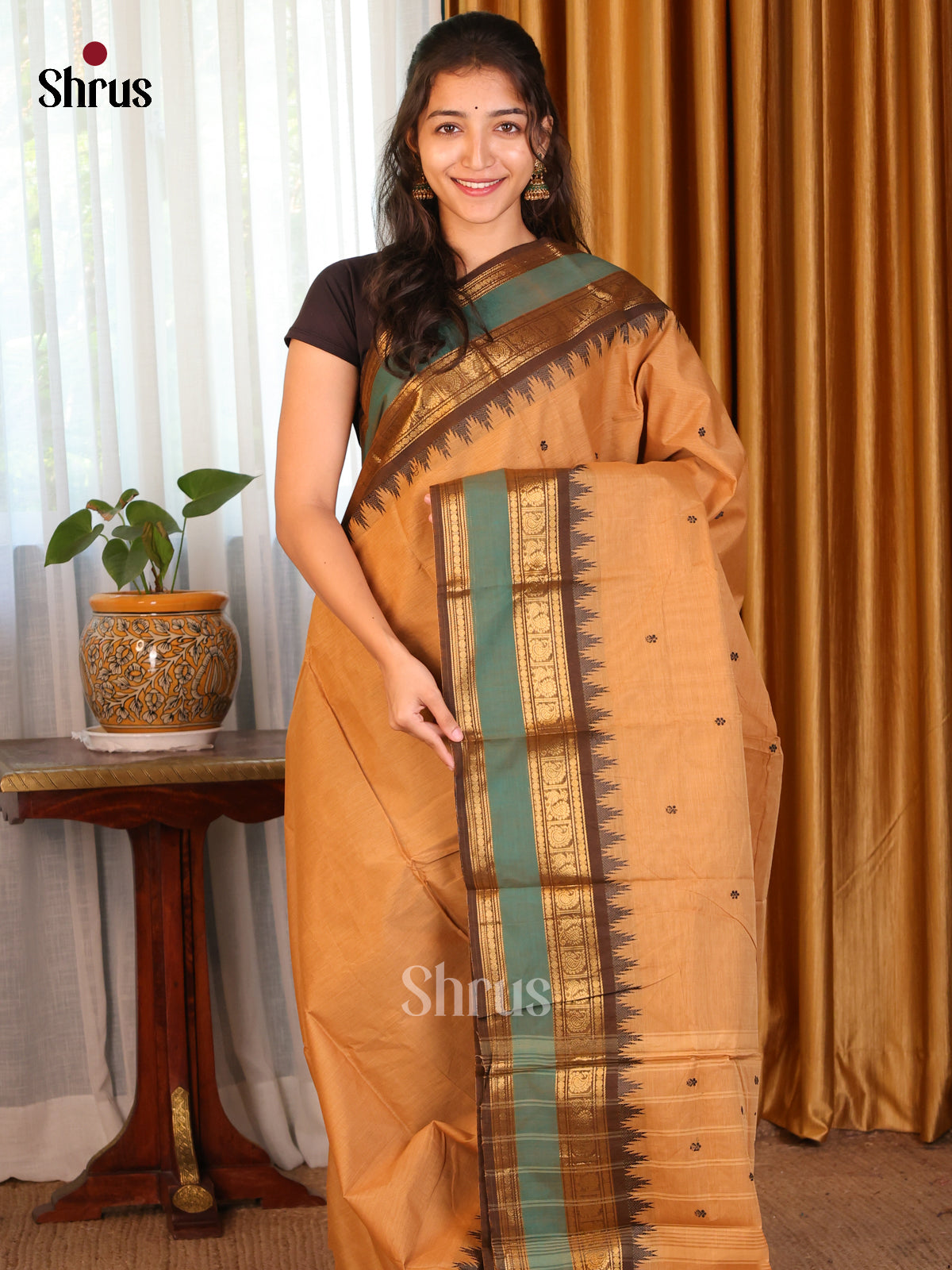 Light brown with Dark Brown - Chettinad Cotton Saree - DDS10051 - Shop on Shrus.com