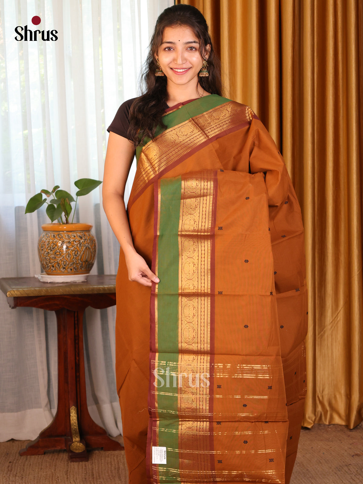 Coffee Brown with Green - Chettinad Cotton Saree - DDS10055 - Shop on Shrus.com