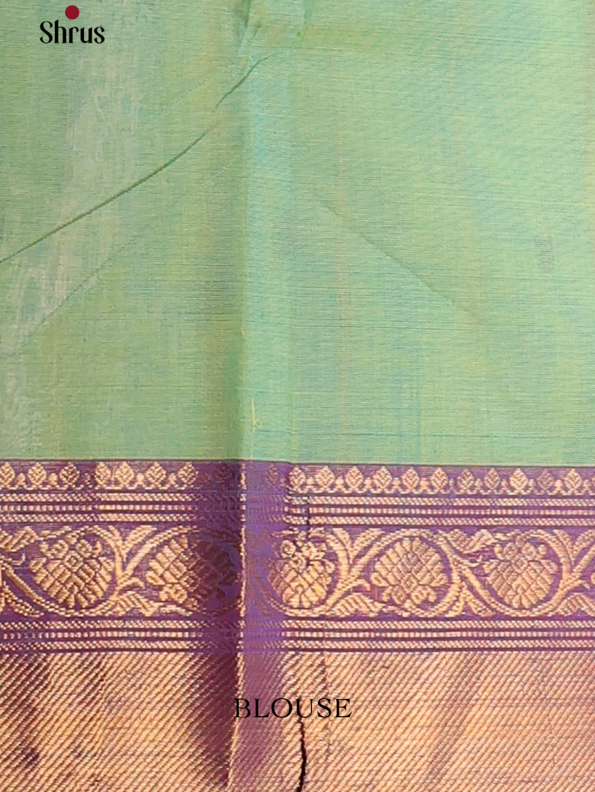 Dual Tone Paarrot Green with blue & Purple Border - Chettinad Cotton Saree - DDS10068 - Shop on Shrus.com