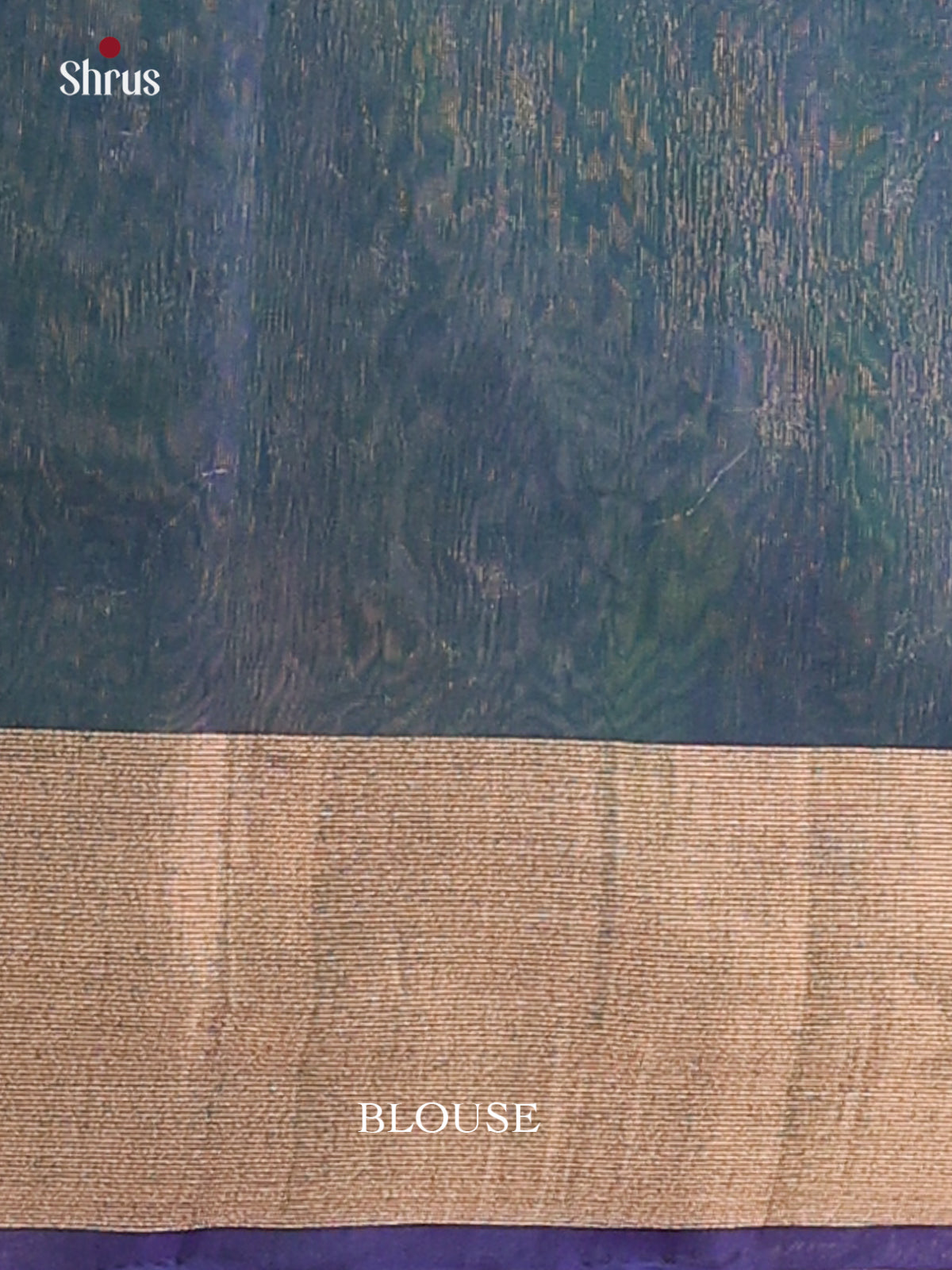 Captivating Green Silk Cotton Saree With Silver & Gold Motifs & Blue Zari Border & Pallu - Shop on Shrus.com