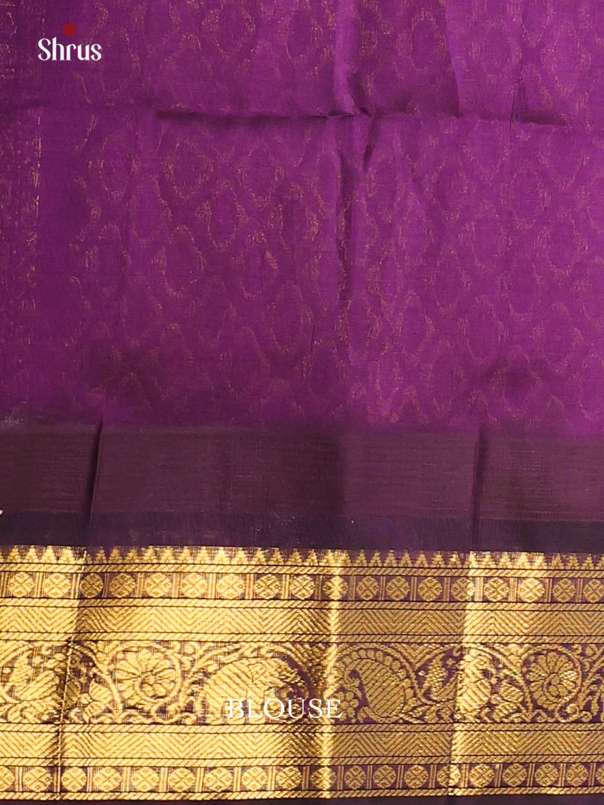 Cream with Violet - DDS12056 - Silk Cotton Saree - Shop on Shrus.com