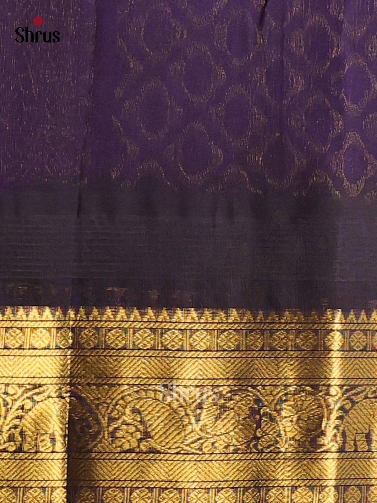 DDS12081 - Silk Cotton Saree - Shop on Shrus.com