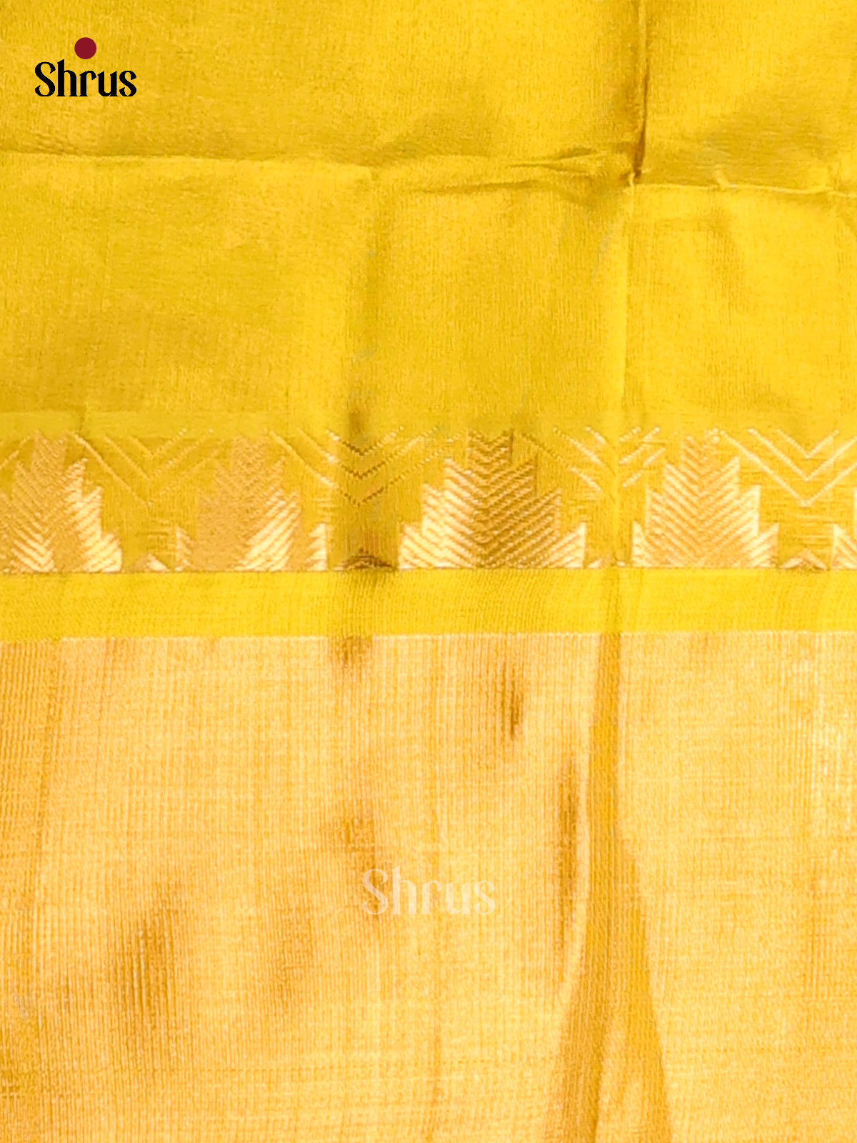 DDS12096 - Silk Cotton Saree - Shop on Shrus.com