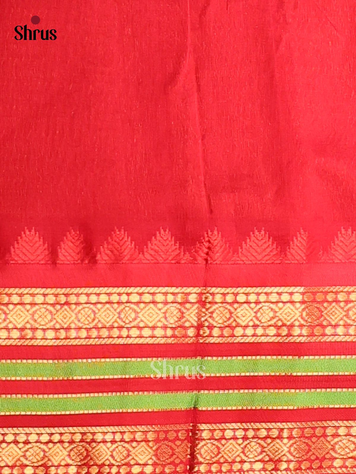 DDS12130 - Silk Cotton Saree - Shop on Shrus.com