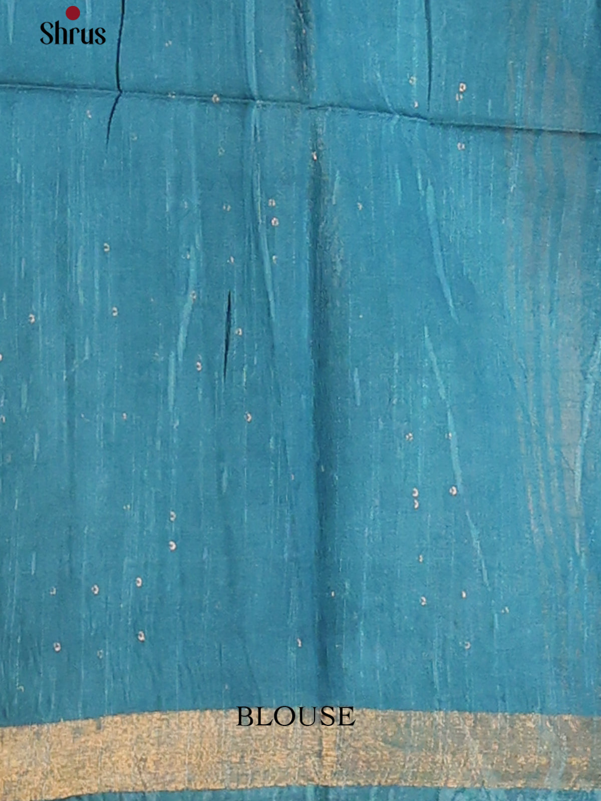 Cream with Blue - Printed Tussar Saree - Shop on Shrus.com