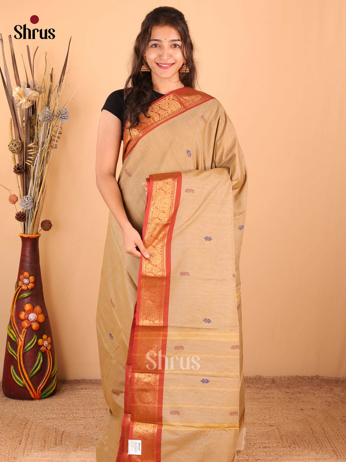 Beige with Red - DDS18366 - Chettinad Mix Cotton Saree - Shop on Shrus.com