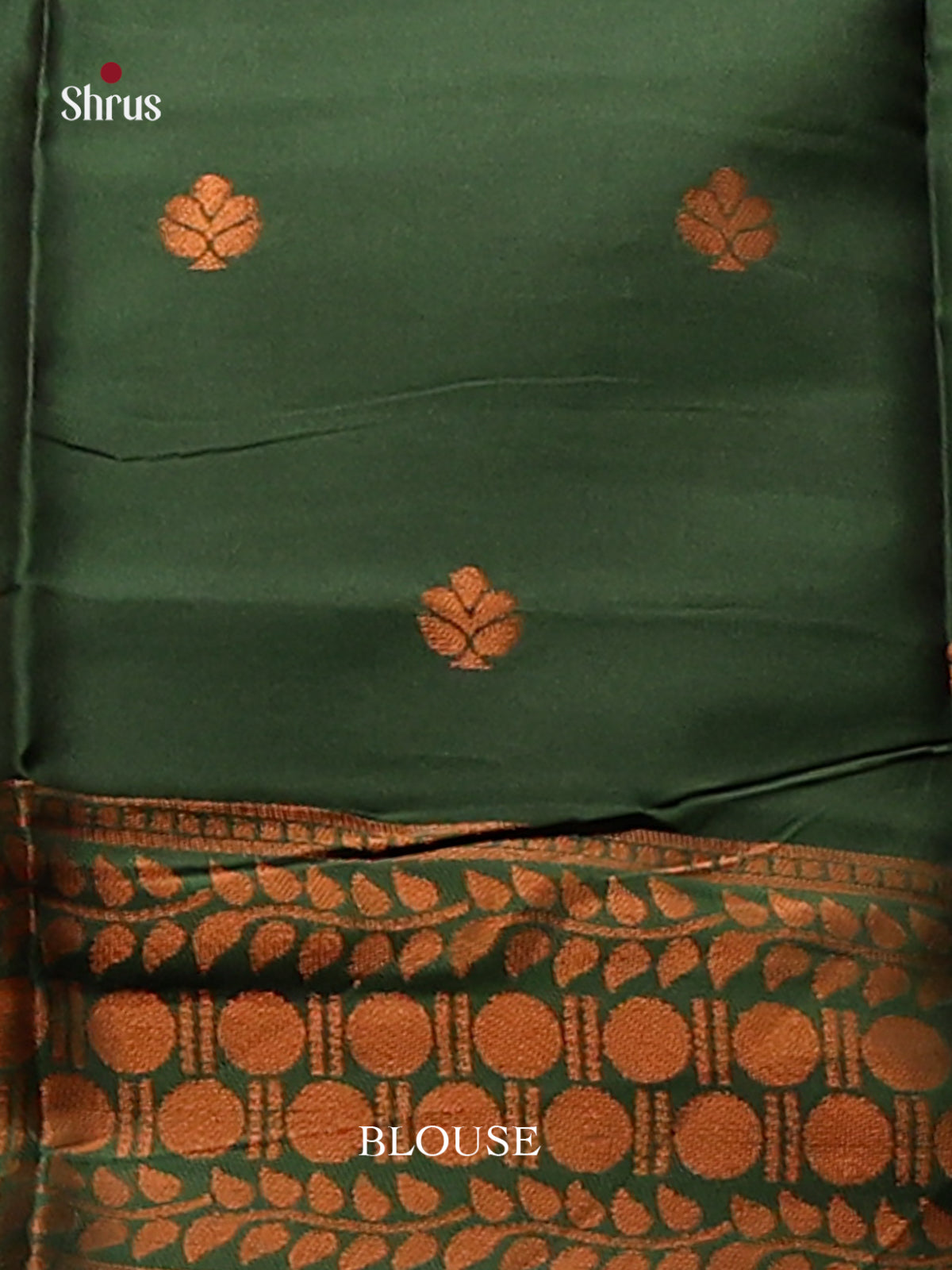 Pastel Green with Green  - Semisoft silk Saree - Shop on Shrus.com