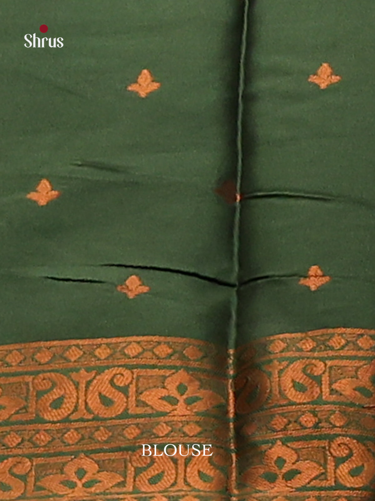 Pastel Green with Green - Semisoft silk Saree - Shop on Shrus.com