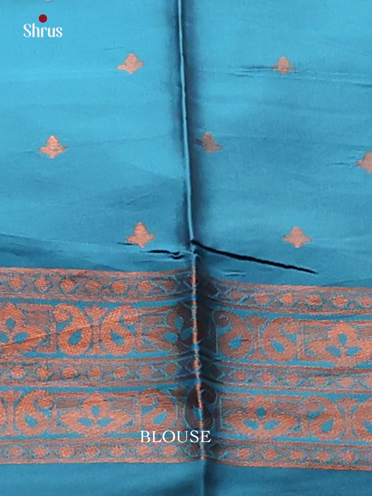 Pastel Blue with Blue - Semisoft silk Saree - Shop on Shrus.com