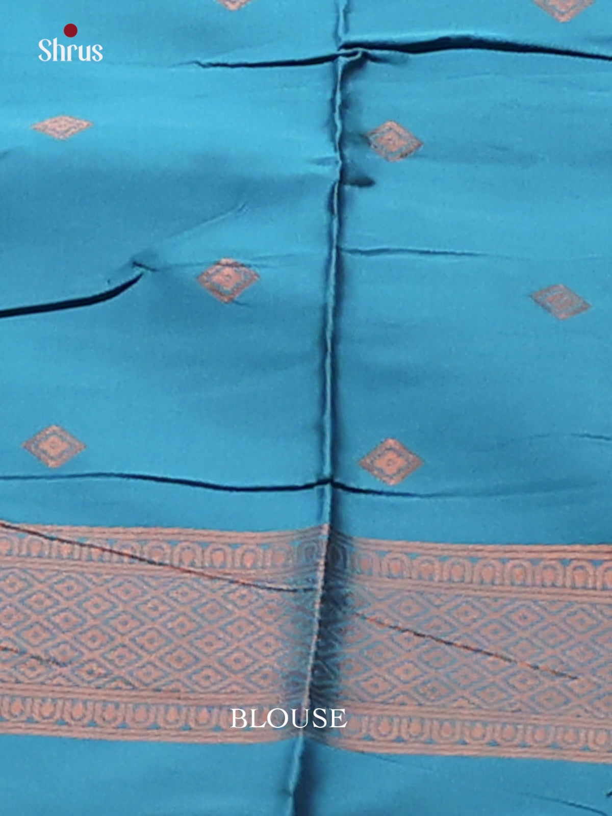 Pastel Blue with Blue - Semisoft silk Saree - Shop on Shrus.com