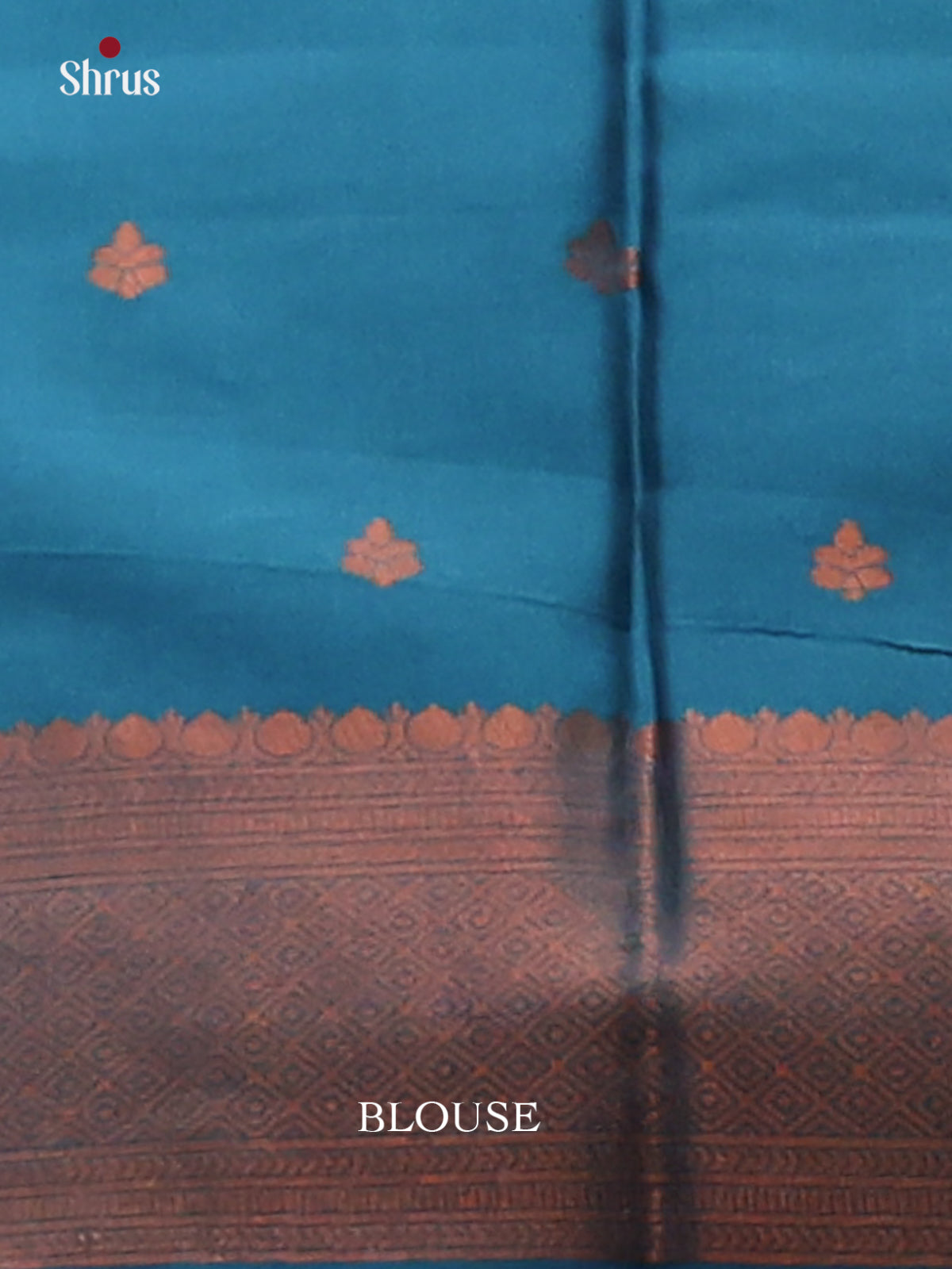 pastel Blue with Blue - Semisoft silk Saree - Shop on Shrus.com