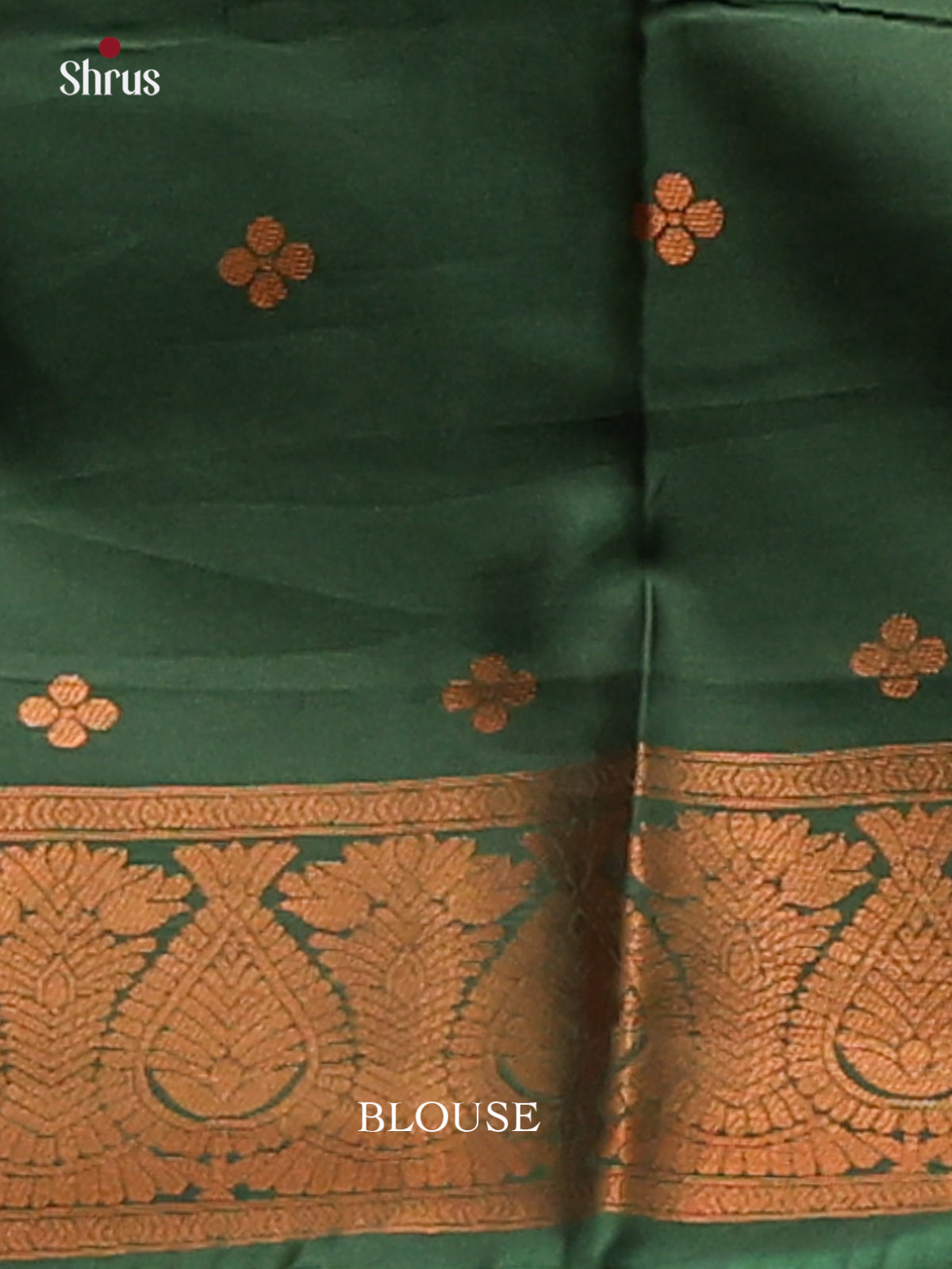 Pastel Green with Green - Semisoft silk Saree - Shop on Shrus.com
