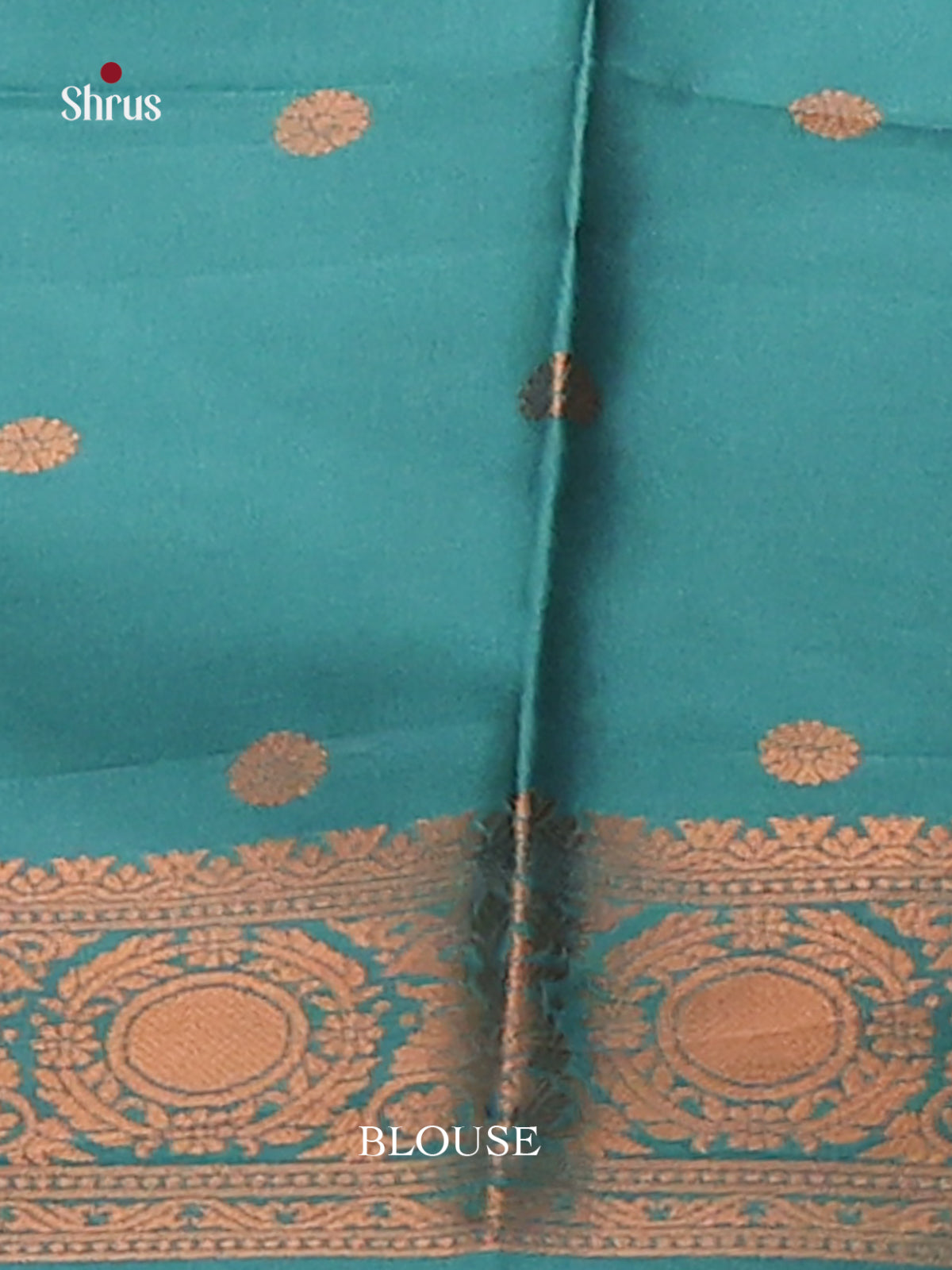 Pastel Green with Green - Semisoft silk Saree - Shop on Shrus.com