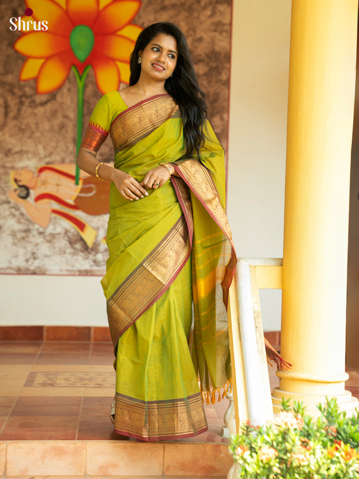 Parrot Green & Maroon - Chettinad Cotton Saree - Shop on Shrus.com