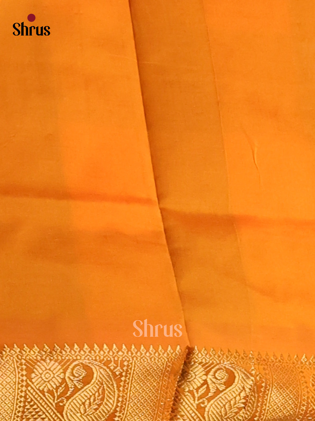 Mustard & Green- Silkcotton-halfpure Saree - Shop on Shrus.com