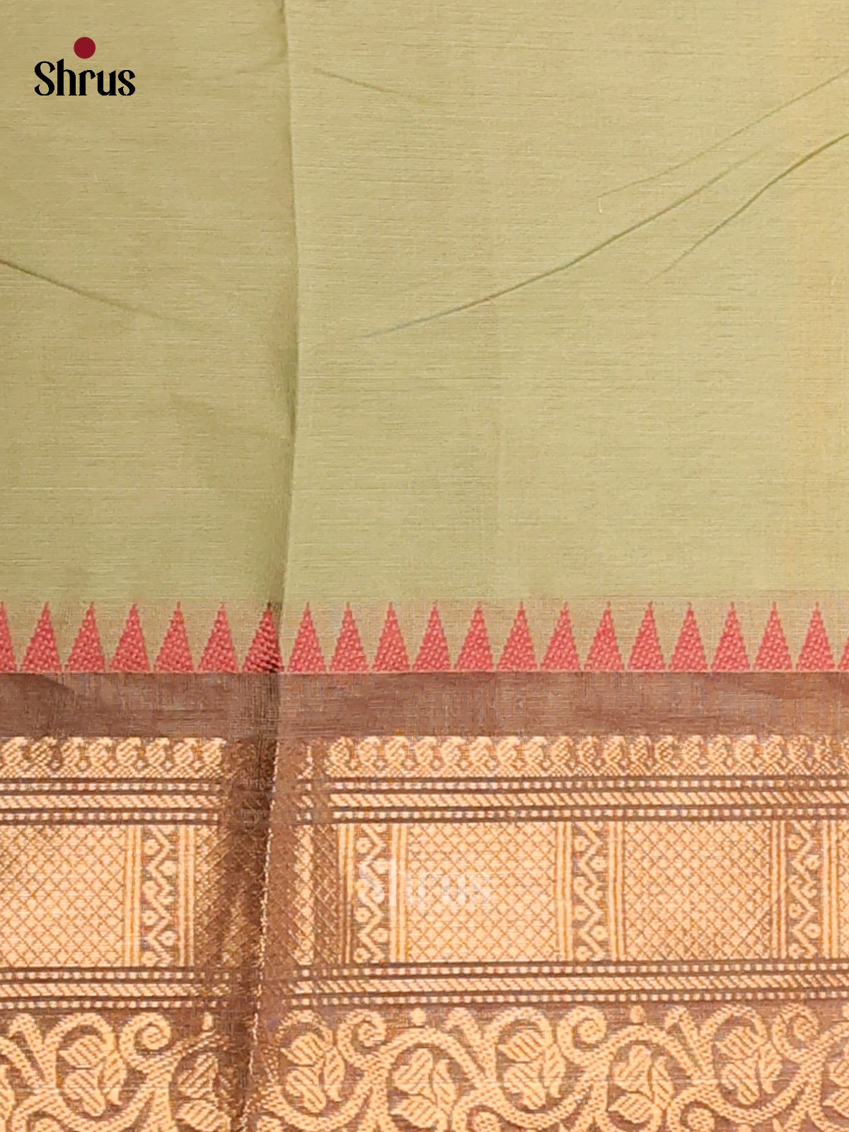 Beautiful Pista Green Chettinad Cotton Saree with Thread Woven & Brown Zari Woven Border - Shop on Shrus.com