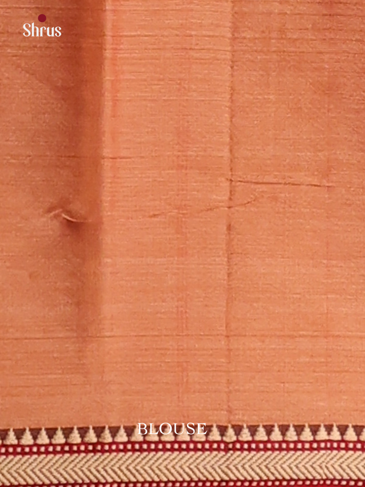 Dusty Brown with Red - Narayanpet Cotton Saree - Shop on Shrus.com