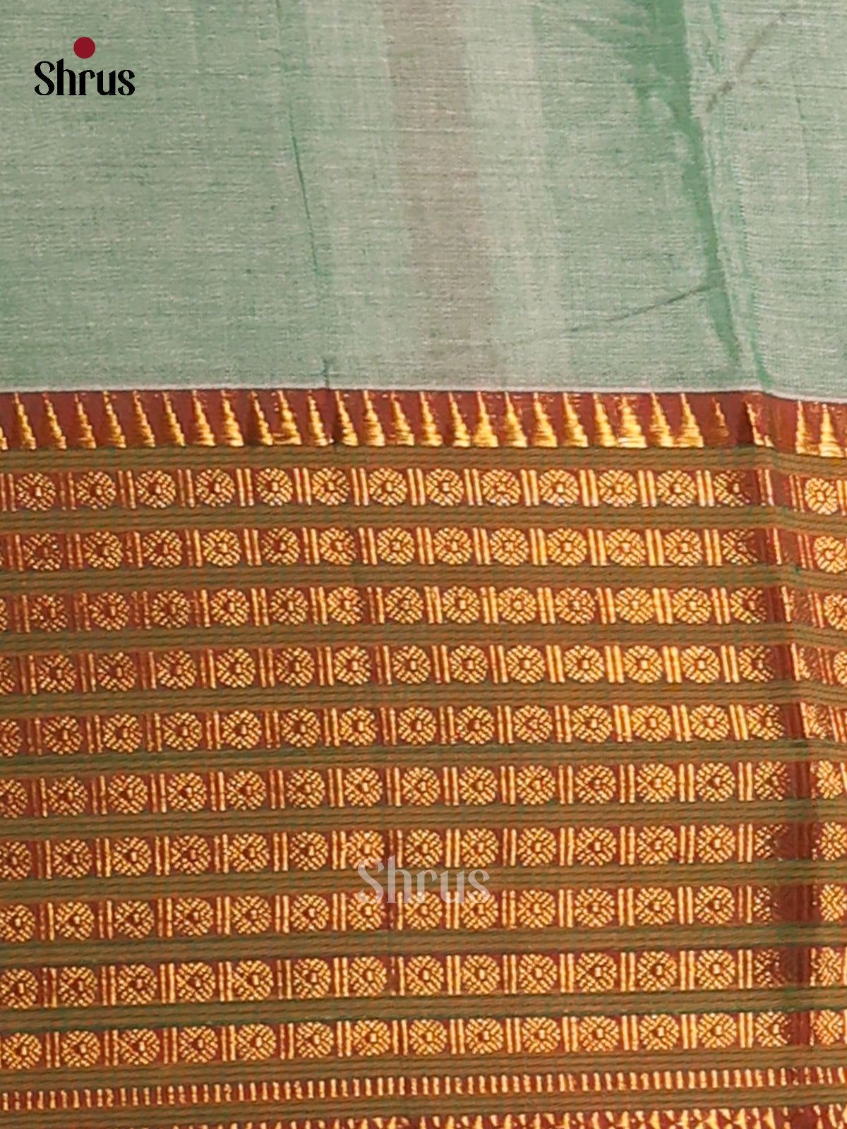 Pastel Green with Maroon - Narayanpet Cotton Saree - Shop on Shrus.com