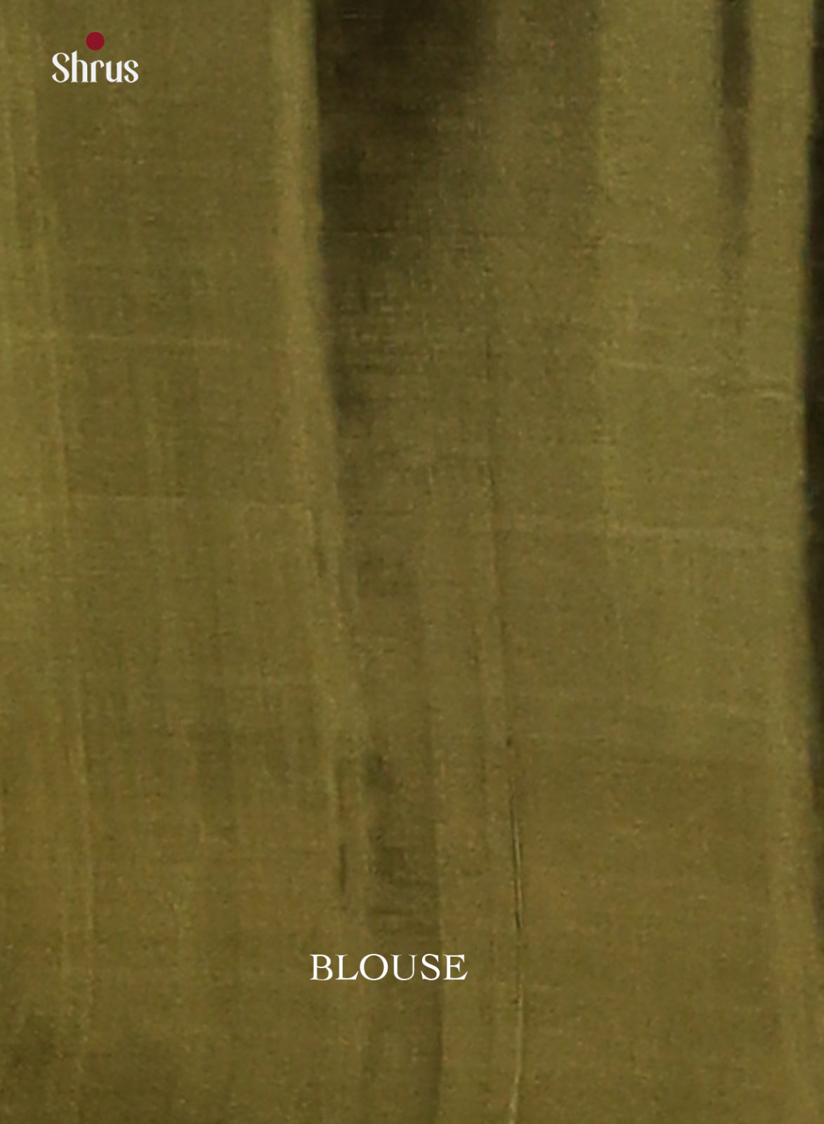 Pastel green Softsilk-halfpure Saree with zari woven motifs , brocade pallu - Shop on Shrus.com