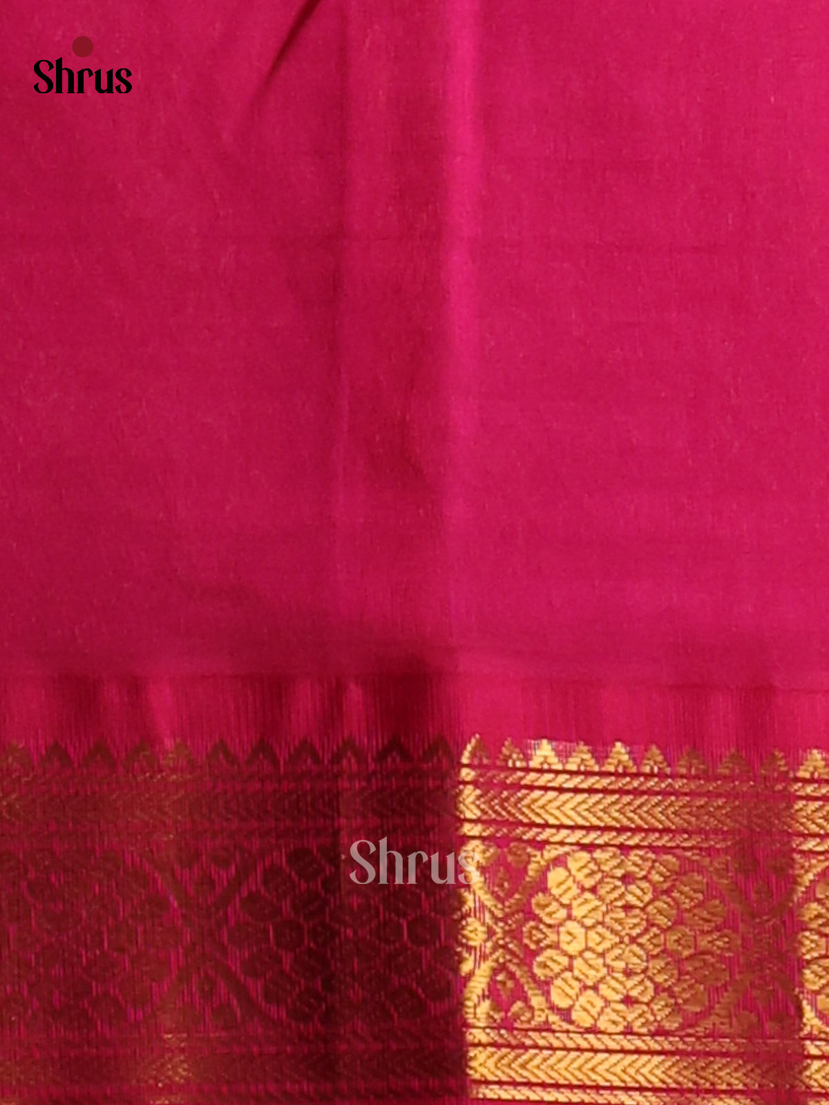 Pretty Cream & Black Silk Cotton Saree with kattam pattern & zari woven pallu - Shop on Shrus.com