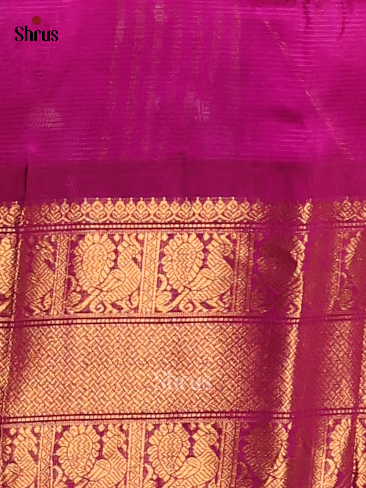 Graceful Baby Pink Silk Cotton Saree with simple body ,  contrast zari border - Shop on Shrus.com