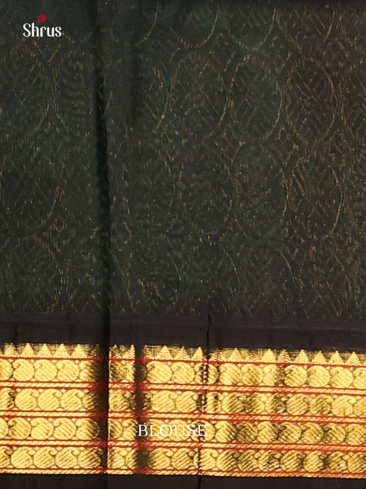 Stunning Sea Green Silk Cotton Saree with Mango Buttas & Black Zari Border -1