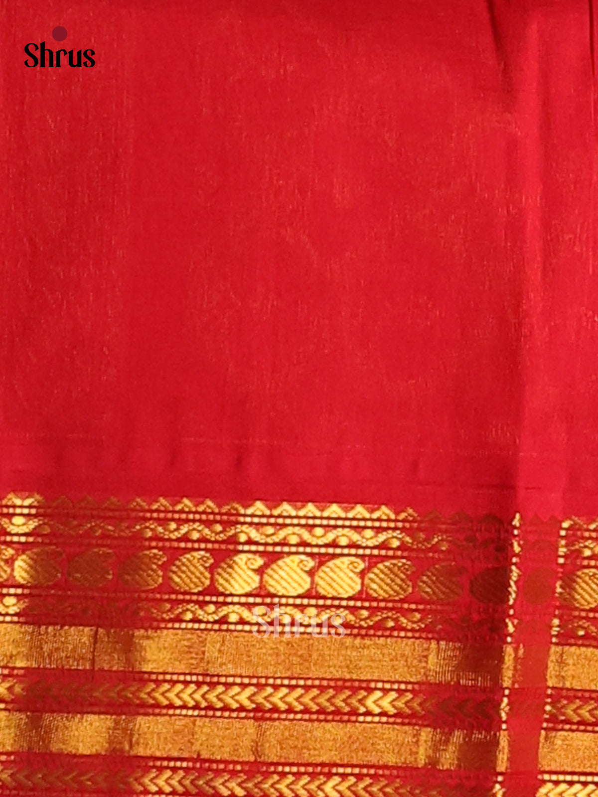 Lime Green Silk Cotton Saree with gold zari manga buttas , contrast Red zari border - Shop on Shrus.com