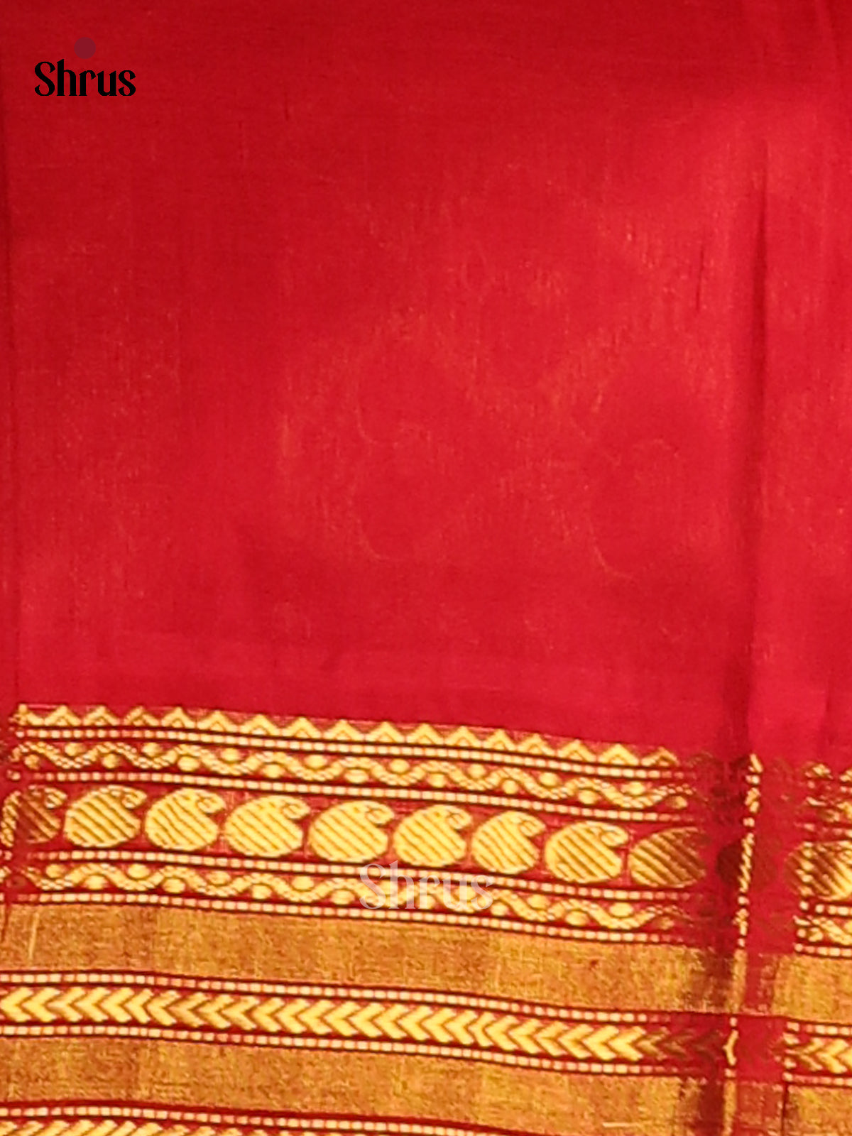 Luminous Mustard Silk Cotton Saree with gold zari buttas ,contrast Red zari brocade  pallu - Shop on Shrus.com