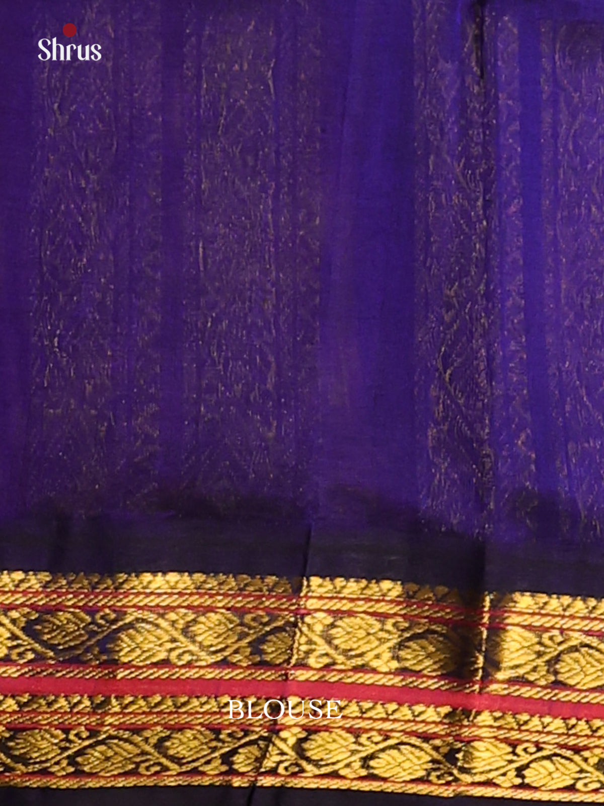 Radiant Orange  Silk Cotton Saree with blue gold zari floral vines border - Shop on Shrus.com