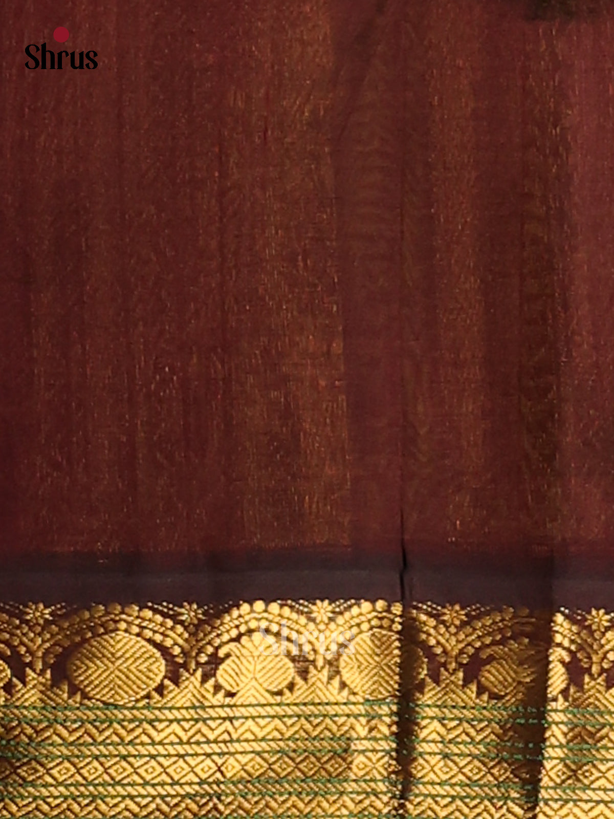 Beautiful Lite Green Silk Cotton Saree with rudraksh zari butta brown Border - Shop on Shrus.com
