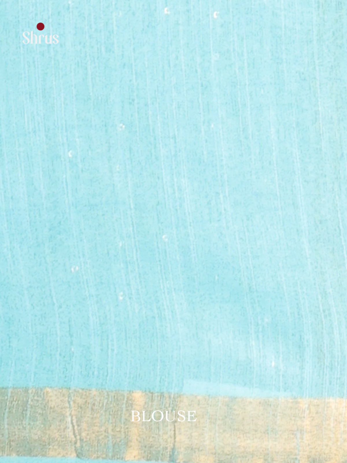 Chikoo & Blue- Semi Tussar saree - Shop on Shrus.com